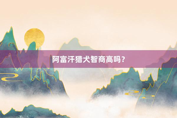 阿富汗猎犬智商高吗？