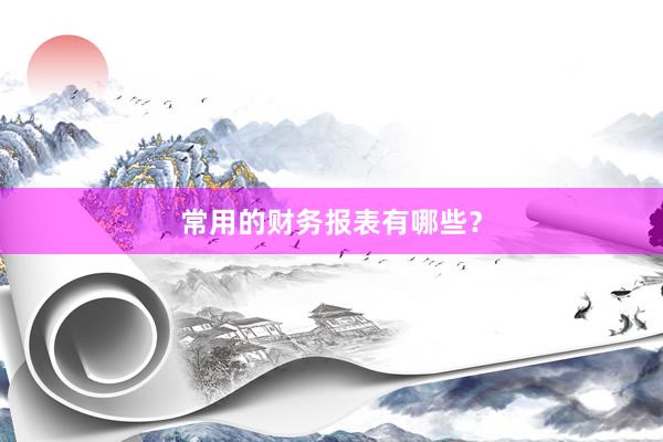 常用的财务报表有哪些？